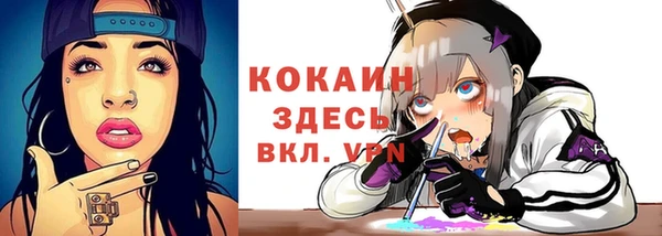 прущие грибы Усолье-Сибирское